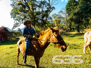 Chácara/Sítio - Quirirí - Joinville