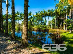 Chácara/Sítio - Pinheiros - Balneário Barra do Sul