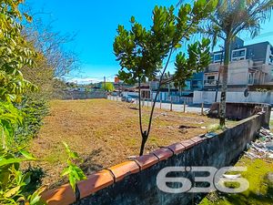 Terreno - Floresta - Joinville