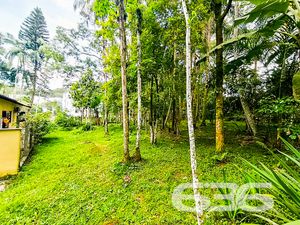 Terreno - Atiradores - Joinville