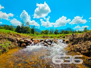 Chácara/Sítio - Vila Nova - Joinville