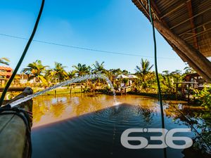 Chácara/Sítio - Vila da Glória - São Francisco do Sul