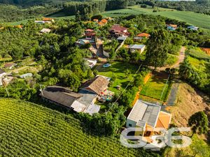 Chácara/Sítio - avenquinha - Campo Alegre