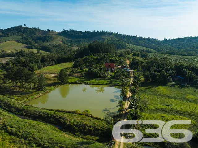 Apresentamos uma oportunidade excepcional para quem busca tranquilidade e conforto em um ambiente naturalmente deslumbrante. Este sítio localizado em São João do Itaperiú, SC, oferece uma área total de 100.000 m² de terreno plano, envolto em uma paisagem exuberante e benfeitorias que elevam a qualidade de vida no campo.

A chácara é composta por três residências, garantindo flexibilidade para hospedagem de familiares ou como potencial fonte de renda com locação. A casa principal é uma joia arquitetônica, com três pavimentos no estilo colonial, incluindo uma suíte master e mais uma suíte, ambos ricamente detalhados com madeira nobre de itaúba em portas, janelas e sacadas. Aquecimento solar e água de poço artesiano asseguram conforto e sustentabilidade.

As áreas de convivência são amplas e acolhedoras, com duas salas espaçosas, cozinha prática e lavabo, tudo sob a cobertura majestosa que confere charme e elegância ao ambiente. A propriedade também inclui uma segunda casa com dois quartos e uma cozinha conjugada com a sala, e uma terceira casa em fase de finalização, prometendo ainda mais espaço e comodidade.

Para os amantes do lazer ao ar livre, a chácara oferece uma piscina imersa na natureza, áreas de festa com churrasqueira e fogão a lenha, perfeitas para receber amigos e familiares. O terreno é adornado por um belo jardim, um pomar diversificado com várias frutíferas e até um ribeirão com nascente própria, além de dois tanques de peixes, ideal para os entusiastas da pesca.

Esta propriedade não é apenas uma casa, é um estilo de vida. Imersa em uma área com preservação legal, ela oferece privacidade, conforto e a infinita possibilidade de criar momentos inesquecíveis. Entre o canto dos pássaros e o murmurar das águas, o sítio é um convite para viver seus dias com mais plenitude e paz.

Venha conhecer seu novo lar no campo, onde cada amanhecer traz a promessa de um novo começo. Aguardamos seu contato para agendar uma visita e experimentar em primeira mão a beleza e tranquilidade que só a 636 Negócios Imobiliários pode oferecer.
 
636 NEGÓCIOS IMOBILIÁRIOS: A SUA MELHOR ESCOLHA
Com mais de 30 anos de experiência, a 636 Negócios Imobiliários é sua parceira ideal para encontrar o imóvel perfeito. Estamos prontos para ajudá-lo a fazer deste imóvel o seu novo lar.
 
Telefone: (47) 3451-0636
WhatsApp: (47) 99190-0636
 
Não perca esta oportunidade única. Visite nosso site para mais informações: i636.com.br
