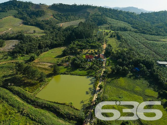 Apresentamos uma oportunidade excepcional para quem busca tranquilidade e conforto em um ambiente naturalmente deslumbrante. Este sítio localizado em São João do Itaperiú, SC, oferece uma área total de 100.000 m² de terreno plano, envolto em uma paisagem exuberante e benfeitorias que elevam a qualidade de vida no campo.

A chácara é composta por três residências, garantindo flexibilidade para hospedagem de familiares ou como potencial fonte de renda com locação. A casa principal é uma joia arquitetônica, com três pavimentos no estilo colonial, incluindo uma suíte master e mais uma suíte, ambos ricamente detalhados com madeira nobre de itaúba em portas, janelas e sacadas. Aquecimento solar e água de poço artesiano asseguram conforto e sustentabilidade.

As áreas de convivência são amplas e acolhedoras, com duas salas espaçosas, cozinha prática e lavabo, tudo sob a cobertura majestosa que confere charme e elegância ao ambiente. A propriedade também inclui uma segunda casa com dois quartos e uma cozinha conjugada com a sala, e uma terceira casa em fase de finalização, prometendo ainda mais espaço e comodidade.

Para os amantes do lazer ao ar livre, a chácara oferece uma piscina imersa na natureza, áreas de festa com churrasqueira e fogão a lenha, perfeitas para receber amigos e familiares. O terreno é adornado por um belo jardim, um pomar diversificado com várias frutíferas e até um ribeirão com nascente própria, além de dois tanques de peixes, ideal para os entusiastas da pesca.

Esta propriedade não é apenas uma casa, é um estilo de vida. Imersa em uma área com preservação legal, ela oferece privacidade, conforto e a infinita possibilidade de criar momentos inesquecíveis. Entre o canto dos pássaros e o murmurar das águas, o sítio é um convite para viver seus dias com mais plenitude e paz.

Venha conhecer seu novo lar no campo, onde cada amanhecer traz a promessa de um novo começo. Aguardamos seu contato para agendar uma visita e experimentar em primeira mão a beleza e tranquilidade que só a 636 Negócios Imobiliários pode oferecer.
 
636 NEGÓCIOS IMOBILIÁRIOS: A SUA MELHOR ESCOLHA
Com mais de 30 anos de experiência, a 636 Negócios Imobiliários é sua parceira ideal para encontrar o imóvel perfeito. Estamos prontos para ajudá-lo a fazer deste imóvel o seu novo lar.
 
Telefone: (47) 3451-0636
WhatsApp: (47) 99190-0636
 
Não perca esta oportunidade única. Visite nosso site para mais informações: i636.com.br
