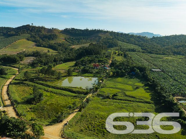 Apresentamos uma oportunidade excepcional para quem busca tranquilidade e conforto em um ambiente naturalmente deslumbrante. Este sítio localizado em São João do Itaperiú, SC, oferece uma área total de 100.000 m² de terreno plano, envolto em uma paisagem exuberante e benfeitorias que elevam a qualidade de vida no campo.

A chácara é composta por três residências, garantindo flexibilidade para hospedagem de familiares ou como potencial fonte de renda com locação. A casa principal é uma joia arquitetônica, com três pavimentos no estilo colonial, incluindo uma suíte master e mais uma suíte, ambos ricamente detalhados com madeira nobre de itaúba em portas, janelas e sacadas. Aquecimento solar e água de poço artesiano asseguram conforto e sustentabilidade.

As áreas de convivência são amplas e acolhedoras, com duas salas espaçosas, cozinha prática e lavabo, tudo sob a cobertura majestosa que confere charme e elegância ao ambiente. A propriedade também inclui uma segunda casa com dois quartos e uma cozinha conjugada com a sala, e uma terceira casa em fase de finalização, prometendo ainda mais espaço e comodidade.

Para os amantes do lazer ao ar livre, a chácara oferece uma piscina imersa na natureza, áreas de festa com churrasqueira e fogão a lenha, perfeitas para receber amigos e familiares. O terreno é adornado por um belo jardim, um pomar diversificado com várias frutíferas e até um ribeirão com nascente própria, além de dois tanques de peixes, ideal para os entusiastas da pesca.

Esta propriedade não é apenas uma casa, é um estilo de vida. Imersa em uma área com preservação legal, ela oferece privacidade, conforto e a infinita possibilidade de criar momentos inesquecíveis. Entre o canto dos pássaros e o murmurar das águas, o sítio é um convite para viver seus dias com mais plenitude e paz.

Venha conhecer seu novo lar no campo, onde cada amanhecer traz a promessa de um novo começo. Aguardamos seu contato para agendar uma visita e experimentar em primeira mão a beleza e tranquilidade que só a 636 Negócios Imobiliários pode oferecer.
 
636 NEGÓCIOS IMOBILIÁRIOS: A SUA MELHOR ESCOLHA
Com mais de 30 anos de experiência, a 636 Negócios Imobiliários é sua parceira ideal para encontrar o imóvel perfeito. Estamos prontos para ajudá-lo a fazer deste imóvel o seu novo lar.
 
Telefone: (47) 3451-0636
WhatsApp: (47) 99190-0636
 
Não perca esta oportunidade única. Visite nosso site para mais informações: i636.com.br