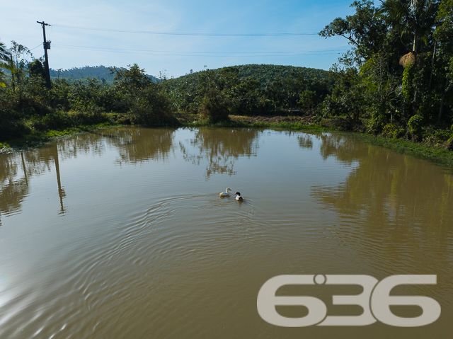 Apresentamos uma oportunidade excepcional para quem busca tranquilidade e conforto em um ambiente naturalmente deslumbrante. Este sítio localizado em São João do Itaperiú, SC, oferece uma área total de 100.000 m² de terreno plano, envolto em uma paisagem exuberante e benfeitorias que elevam a qualidade de vida no campo.

A chácara é composta por três residências, garantindo flexibilidade para hospedagem de familiares ou como potencial fonte de renda com locação. A casa principal é uma joia arquitetônica, com três pavimentos no estilo colonial, incluindo uma suíte master e mais uma suíte, ambos ricamente detalhados com madeira nobre de itaúba em portas, janelas e sacadas. Aquecimento solar e água de poço artesiano asseguram conforto e sustentabilidade.

As áreas de convivência são amplas e acolhedoras, com duas salas espaçosas, cozinha prática e lavabo, tudo sob a cobertura majestosa que confere charme e elegância ao ambiente. A propriedade também inclui uma segunda casa com dois quartos e uma cozinha conjugada com a sala, e uma terceira casa em fase de finalização, prometendo ainda mais espaço e comodidade.

Para os amantes do lazer ao ar livre, a chácara oferece uma piscina imersa na natureza, áreas de festa com churrasqueira e fogão a lenha, perfeitas para receber amigos e familiares. O terreno é adornado por um belo jardim, um pomar diversificado com várias frutíferas e até um ribeirão com nascente própria, além de dois tanques de peixes, ideal para os entusiastas da pesca.

Esta propriedade não é apenas uma casa, é um estilo de vida. Imersa em uma área com preservação legal, ela oferece privacidade, conforto e a infinita possibilidade de criar momentos inesquecíveis. Entre o canto dos pássaros e o murmurar das águas, o sítio é um convite para viver seus dias com mais plenitude e paz.

Venha conhecer seu novo lar no campo, onde cada amanhecer traz a promessa de um novo começo. Aguardamos seu contato para agendar uma visita e experimentar em primeira mão a beleza e tranquilidade que só a 636 Negócios Imobiliários pode oferecer.
 
636 NEGÓCIOS IMOBILIÁRIOS: A SUA MELHOR ESCOLHA
Com mais de 30 anos de experiência, a 636 Negócios Imobiliários é sua parceira ideal para encontrar o imóvel perfeito. Estamos prontos para ajudá-lo a fazer deste imóvel o seu novo lar.
 
Telefone: (47) 3451-0636
WhatsApp: (47) 99190-0636
 
Não perca esta oportunidade única. Visite nosso site para mais informações: i636.com.br
