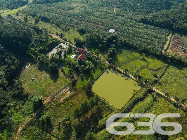 Apresentamos uma oportunidade excepcional para quem busca tranquilidade e conforto em um ambiente naturalmente deslumbrante. Este sítio localizado em São João do Itaperiú, SC, oferece uma área total de 100.000 m² de terreno plano, envolto em uma paisagem exuberante e benfeitorias que elevam a qualidade de vida no campo.

A chácara é composta por três residências, garantindo flexibilidade para hospedagem de familiares ou como potencial fonte de renda com locação. A casa principal é uma joia arquitetônica, com três pavimentos no estilo colonial, incluindo uma suíte master e mais uma suíte, ambos ricamente detalhados com madeira nobre de itaúba em portas, janelas e sacadas. Aquecimento solar e água de poço artesiano asseguram conforto e sustentabilidade.

As áreas de convivência são amplas e acolhedoras, com duas salas espaçosas, cozinha prática e lavabo, tudo sob a cobertura majestosa que confere charme e elegância ao ambiente. A propriedade também inclui uma segunda casa com dois quartos e uma cozinha conjugada com a sala, e uma terceira casa em fase de finalização, prometendo ainda mais espaço e comodidade.

Para os amantes do lazer ao ar livre, a chácara oferece uma piscina imersa na natureza, áreas de festa com churrasqueira e fogão a lenha, perfeitas para receber amigos e familiares. O terreno é adornado por um belo jardim, um pomar diversificado com várias frutíferas e até um ribeirão com nascente própria, além de dois tanques de peixes, ideal para os entusiastas da pesca.

Esta propriedade não é apenas uma casa, é um estilo de vida. Imersa em uma área com preservação legal, ela oferece privacidade, conforto e a infinita possibilidade de criar momentos inesquecíveis. Entre o canto dos pássaros e o murmurar das águas, o sítio é um convite para viver seus dias com mais plenitude e paz.

Venha conhecer seu novo lar no campo, onde cada amanhecer traz a promessa de um novo começo. Aguardamos seu contato para agendar uma visita e experimentar em primeira mão a beleza e tranquilidade que só a 636 Negócios Imobiliários pode oferecer.
 
636 NEGÓCIOS IMOBILIÁRIOS: A SUA MELHOR ESCOLHA
Com mais de 30 anos de experiência, a 636 Negócios Imobiliários é sua parceira ideal para encontrar o imóvel perfeito. Estamos prontos para ajudá-lo a fazer deste imóvel o seu novo lar.
 
Telefone: (47) 3451-0636
WhatsApp: (47) 99190-0636
 
Não perca esta oportunidade única. Visite nosso site para mais informações: i636.com.br