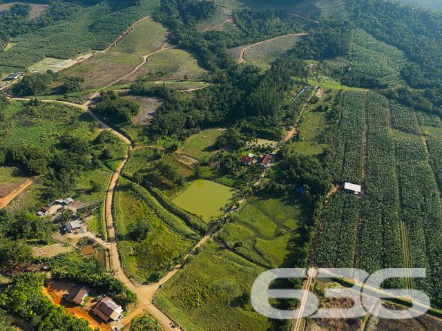 Apresentamos uma oportunidade excepcional para quem busca tranquilidade e conforto em um ambiente naturalmente deslumbrante. Este sítio localizado em São João do Itaperiú, SC, oferece uma área total de 100.000 m² de terreno plano, envolto em uma paisagem exuberante e benfeitorias que elevam a qualidade de vida no campo.

A chácara é composta por três residências, garantindo flexibilidade para hospedagem de familiares ou como potencial fonte de renda com locação. A casa principal é uma joia arquitetônica, com três pavimentos no estilo colonial, incluindo uma suíte master e mais uma suíte, ambos ricamente detalhados com madeira nobre de itaúba em portas, janelas e sacadas. Aquecimento solar e água de poço artesiano asseguram conforto e sustentabilidade.

As áreas de convivência são amplas e acolhedoras, com duas salas espaçosas, cozinha prática e lavabo, tudo sob a cobertura majestosa que confere charme e elegância ao ambiente. A propriedade também inclui uma segunda casa com dois quartos e uma cozinha conjugada com a sala, e uma terceira casa em fase de finalização, prometendo ainda mais espaço e comodidade.

Para os amantes do lazer ao ar livre, a chácara oferece uma piscina imersa na natureza, áreas de festa com churrasqueira e fogão a lenha, perfeitas para receber amigos e familiares. O terreno é adornado por um belo jardim, um pomar diversificado com várias frutíferas e até um ribeirão com nascente própria, além de dois tanques de peixes, ideal para os entusiastas da pesca.

Esta propriedade não é apenas uma casa, é um estilo de vida. Imersa em uma área com preservação legal, ela oferece privacidade, conforto e a infinita possibilidade de criar momentos inesquecíveis. Entre o canto dos pássaros e o murmurar das águas, o sítio é um convite para viver seus dias com mais plenitude e paz.

Venha conhecer seu novo lar no campo, onde cada amanhecer traz a promessa de um novo começo. Aguardamos seu contato para agendar uma visita e experimentar em primeira mão a beleza e tranquilidade que só a 636 Negócios Imobiliários pode oferecer.
 
636 NEGÓCIOS IMOBILIÁRIOS: A SUA MELHOR ESCOLHA
Com mais de 30 anos de experiência, a 636 Negócios Imobiliários é sua parceira ideal para encontrar o imóvel perfeito. Estamos prontos para ajudá-lo a fazer deste imóvel o seu novo lar.
 
Telefone: (47) 3451-0636
WhatsApp: (47) 99190-0636
 
Não perca esta oportunidade única. Visite nosso site para mais informações: i636.com.br