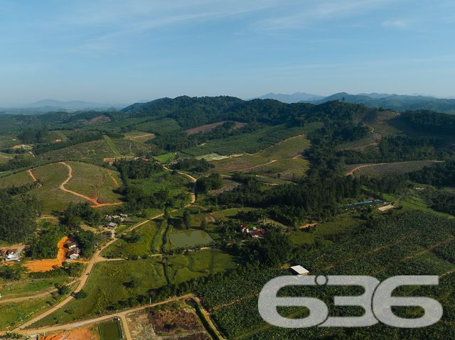Apresentamos uma oportunidade excepcional para quem busca tranquilidade e conforto em um ambiente naturalmente deslumbrante. Este sítio localizado em São João do Itaperiú, SC, oferece uma área total de 100.000 m² de terreno plano, envolto em uma paisagem exuberante e benfeitorias que elevam a qualidade de vida no campo.

A chácara é composta por três residências, garantindo flexibilidade para hospedagem de familiares ou como potencial fonte de renda com locação. A casa principal é uma joia arquitetônica, com três pavimentos no estilo colonial, incluindo uma suíte master e mais uma suíte, ambos ricamente detalhados com madeira nobre de itaúba em portas, janelas e sacadas. Aquecimento solar e água de poço artesiano asseguram conforto e sustentabilidade.

As áreas de convivência são amplas e acolhedoras, com duas salas espaçosas, cozinha prática e lavabo, tudo sob a cobertura majestosa que confere charme e elegância ao ambiente. A propriedade também inclui uma segunda casa com dois quartos e uma cozinha conjugada com a sala, e uma terceira casa em fase de finalização, prometendo ainda mais espaço e comodidade.

Para os amantes do lazer ao ar livre, a chácara oferece uma piscina imersa na natureza, áreas de festa com churrasqueira e fogão a lenha, perfeitas para receber amigos e familiares. O terreno é adornado por um belo jardim, um pomar diversificado com várias frutíferas e até um ribeirão com nascente própria, além de dois tanques de peixes, ideal para os entusiastas da pesca.

Esta propriedade não é apenas uma casa, é um estilo de vida. Imersa em uma área com preservação legal, ela oferece privacidade, conforto e a infinita possibilidade de criar momentos inesquecíveis. Entre o canto dos pássaros e o murmurar das águas, o sítio é um convite para viver seus dias com mais plenitude e paz.

Venha conhecer seu novo lar no campo, onde cada amanhecer traz a promessa de um novo começo. Aguardamos seu contato para agendar uma visita e experimentar em primeira mão a beleza e tranquilidade que só a 636 Negócios Imobiliários pode oferecer.
 
636 NEGÓCIOS IMOBILIÁRIOS: A SUA MELHOR ESCOLHA
Com mais de 30 anos de experiência, a 636 Negócios Imobiliários é sua parceira ideal para encontrar o imóvel perfeito. Estamos prontos para ajudá-lo a fazer deste imóvel o seu novo lar.
 
Telefone: (47) 3451-0636
WhatsApp: (47) 99190-0636
 
Não perca esta oportunidade única. Visite nosso site para mais informações: i636.com.br