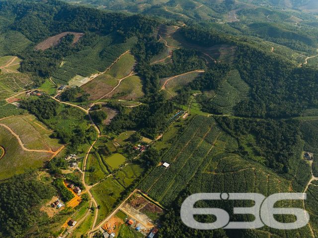 Apresentamos uma oportunidade excepcional para quem busca tranquilidade e conforto em um ambiente naturalmente deslumbrante. Este sítio localizado em São João do Itaperiú, SC, oferece uma área total de 100.000 m² de terreno plano, envolto em uma paisagem exuberante e benfeitorias que elevam a qualidade de vida no campo.

A chácara é composta por três residências, garantindo flexibilidade para hospedagem de familiares ou como potencial fonte de renda com locação. A casa principal é uma joia arquitetônica, com três pavimentos no estilo colonial, incluindo uma suíte master e mais uma suíte, ambos ricamente detalhados com madeira nobre de itaúba em portas, janelas e sacadas. Aquecimento solar e água de poço artesiano asseguram conforto e sustentabilidade.

As áreas de convivência são amplas e acolhedoras, com duas salas espaçosas, cozinha prática e lavabo, tudo sob a cobertura majestosa que confere charme e elegância ao ambiente. A propriedade também inclui uma segunda casa com dois quartos e uma cozinha conjugada com a sala, e uma terceira casa em fase de finalização, prometendo ainda mais espaço e comodidade.

Para os amantes do lazer ao ar livre, a chácara oferece uma piscina imersa na natureza, áreas de festa com churrasqueira e fogão a lenha, perfeitas para receber amigos e familiares. O terreno é adornado por um belo jardim, um pomar diversificado com várias frutíferas e até um ribeirão com nascente própria, além de dois tanques de peixes, ideal para os entusiastas da pesca.

Esta propriedade não é apenas uma casa, é um estilo de vida. Imersa em uma área com preservação legal, ela oferece privacidade, conforto e a infinita possibilidade de criar momentos inesquecíveis. Entre o canto dos pássaros e o murmurar das águas, o sítio é um convite para viver seus dias com mais plenitude e paz.

Venha conhecer seu novo lar no campo, onde cada amanhecer traz a promessa de um novo começo. Aguardamos seu contato para agendar uma visita e experimentar em primeira mão a beleza e tranquilidade que só a 636 Negócios Imobiliários pode oferecer.
 
636 NEGÓCIOS IMOBILIÁRIOS: A SUA MELHOR ESCOLHA
Com mais de 30 anos de experiência, a 636 Negócios Imobiliários é sua parceira ideal para encontrar o imóvel perfeito. Estamos prontos para ajudá-lo a fazer deste imóvel o seu novo lar.
 
Telefone: (47) 3451-0636
WhatsApp: (47) 99190-0636
 
Não perca esta oportunidade única. Visite nosso site para mais informações: i636.com.br