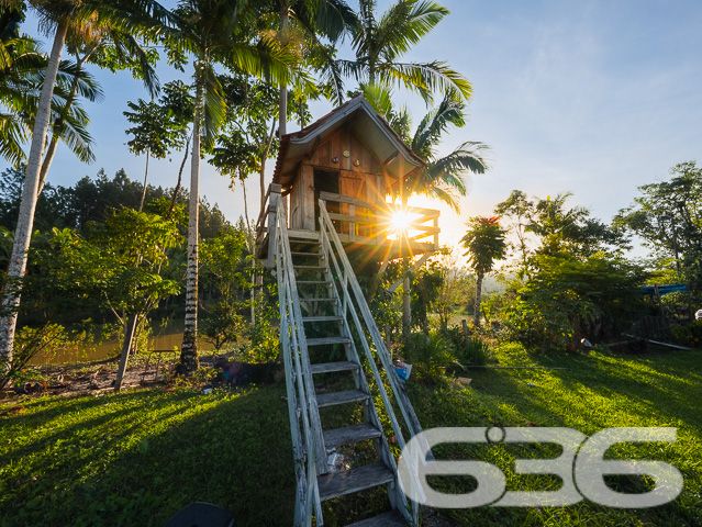 Apresentamos uma oportunidade excepcional para quem busca tranquilidade e conforto em um ambiente naturalmente deslumbrante. Este sítio localizado em São João do Itaperiú, SC, oferece uma área total de 100.000 m² de terreno plano, envolto em uma paisagem exuberante e benfeitorias que elevam a qualidade de vida no campo.

A chácara é composta por três residências, garantindo flexibilidade para hospedagem de familiares ou como potencial fonte de renda com locação. A casa principal é uma joia arquitetônica, com três pavimentos no estilo colonial, incluindo uma suíte master e mais uma suíte, ambos ricamente detalhados com madeira nobre de itaúba em portas, janelas e sacadas. Aquecimento solar e água de poço artesiano asseguram conforto e sustentabilidade.

As áreas de convivência são amplas e acolhedoras, com duas salas espaçosas, cozinha prática e lavabo, tudo sob a cobertura majestosa que confere charme e elegância ao ambiente. A propriedade também inclui uma segunda casa com dois quartos e uma cozinha conjugada com a sala, e uma terceira casa em fase de finalização, prometendo ainda mais espaço e comodidade.

Para os amantes do lazer ao ar livre, a chácara oferece uma piscina imersa na natureza, áreas de festa com churrasqueira e fogão a lenha, perfeitas para receber amigos e familiares. O terreno é adornado por um belo jardim, um pomar diversificado com várias frutíferas e até um ribeirão com nascente própria, além de dois tanques de peixes, ideal para os entusiastas da pesca.

Esta propriedade não é apenas uma casa, é um estilo de vida. Imersa em uma área com preservação legal, ela oferece privacidade, conforto e a infinita possibilidade de criar momentos inesquecíveis. Entre o canto dos pássaros e o murmurar das águas, o sítio é um convite para viver seus dias com mais plenitude e paz.

Venha conhecer seu novo lar no campo, onde cada amanhecer traz a promessa de um novo começo. Aguardamos seu contato para agendar uma visita e experimentar em primeira mão a beleza e tranquilidade que só a 636 Negócios Imobiliários pode oferecer.
 
636 NEGÓCIOS IMOBILIÁRIOS: A SUA MELHOR ESCOLHA
Com mais de 30 anos de experiência, a 636 Negócios Imobiliários é sua parceira ideal para encontrar o imóvel perfeito. Estamos prontos para ajudá-lo a fazer deste imóvel o seu novo lar.
 
Telefone: (47) 3451-0636
WhatsApp: (47) 99190-0636
 
Não perca esta oportunidade única. Visite nosso site para mais informações: i636.com.br