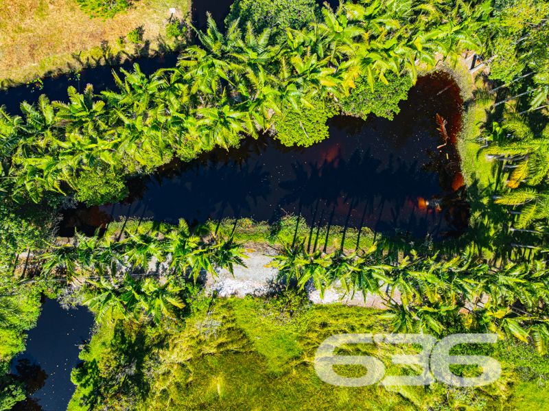 Seu refúgio em meio à natureza com quase 91 mil m² em Balneário Barra do Sul!
Para quem valoriza a tranquilidade, o contato com a natureza e o conforto de uma vida no campo sem abrir mão da praticidade urbana, esta chácara é simplesmente ideal. Localizada no bairro Pinheiros, em Balneário Barra do Sul/SC, com acesso facilitado por rua pavimentada e cercada por muito verde, esta propriedade surpreende pela amplitude e potencial.
Com impressionantes 90.896,73m² de terreno, a área oferece topografia com leve aclive, vegetação consolidada, pastagem, pomar, horta, galpão rústico e um aconchegante lar, com 150m² de área construída.
A residência principal é charmosa, em estilo rústico e bem funcional, composta por:
2 dormitórios amplos,
Sala de estar e jantar integradas à cozinha em conceito aberto,
Banheiro social,
Fogão a lenha,
Varanda com redes para momentos de descanso,
Área de serviço.
Além disso, o imóvel conta com:
5 vagas descobertas e 2 cobertas para estacionamento,
Internet via fibra óptica,
Móveis de cozinha e embutidos que permanecem no imóvel,
Jardim cuidado com esmero e espaço ideal para quem deseja criar animais ou expandir a área construída.
Cercado e com acesso facilitado, o imóvel está próximo a escolas, transporte público, hospitais e serviços essenciais — ideal tanto para quem quer viver com qualidade quanto para quem pensa em investir em turismo rural, lazer ou produção agrícola.
Não perca a oportunidade de adquirir essa propriedade única, com grande extensão territorial e enorme potencial de aproveitamento em uma das regiões mais valorizadas do litoral norte catarinense.
636 NEGÓCIOS IMOBILIÁRIOS: A SUA MELHOR ESCOLHA
Com mais de 30 anos de experiência, a 636 Negócios Imobiliários é sua parceira ideal para encontrar o imóvel perfeito. Estamos prontos para ajudá-lo a fazer deste imóvel o seu novo lar.
Telefone: (47) 3451-0636
WhatsApp: (47) 99190-0636
Não perca esta oportunidade única. Visite nosso site para mais informações: i636.com.br