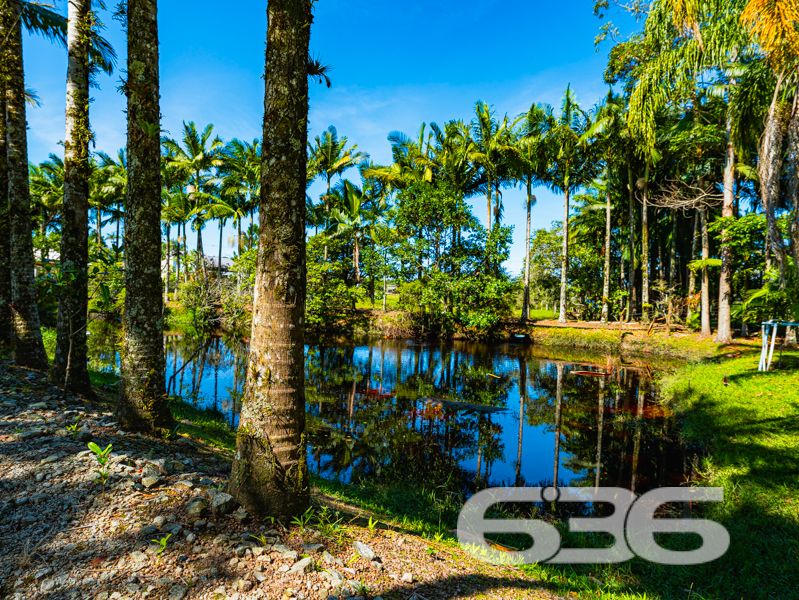 Seu refúgio em meio à natureza com quase 91 mil m² em Balneário Barra do Sul!
Para quem valoriza a tranquilidade, o contato com a natureza e o conforto de uma vida no campo sem abrir mão da praticidade urbana, esta chácara é simplesmente ideal. Localizada no bairro Pinheiros, em Balneário Barra do Sul/SC, com acesso facilitado por rua pavimentada e cercada por muito verde, esta propriedade surpreende pela amplitude e potencial.
Com impressionantes 90.896,73m² de terreno, a área oferece topografia com leve aclive, vegetação consolidada, pastagem, pomar, horta, galpão rústico e um aconchegante lar, com 150m² de área construída.
A residência principal é charmosa, em estilo rústico e bem funcional, composta por:
2 dormitórios amplos,
Sala de estar e jantar integradas à cozinha em conceito aberto,
Banheiro social,
Fogão a lenha,
Varanda com redes para momentos de descanso,
Área de serviço.
Além disso, o imóvel conta com:
5 vagas descobertas e 2 cobertas para estacionamento,
Internet via fibra óptica,
Móveis de cozinha e embutidos que permanecem no imóvel,
Jardim cuidado com esmero e espaço ideal para quem deseja criar animais ou expandir a área construída.
Cercado e com acesso facilitado, o imóvel está próximo a escolas, transporte público, hospitais e serviços essenciais — ideal tanto para quem quer viver com qualidade quanto para quem pensa em investir em turismo rural, lazer ou produção agrícola.
Não perca a oportunidade de adquirir essa propriedade única, com grande extensão territorial e enorme potencial de aproveitamento em uma das regiões mais valorizadas do litoral norte catarinense.
636 NEGÓCIOS IMOBILIÁRIOS: A SUA MELHOR ESCOLHA
Com mais de 30 anos de experiência, a 636 Negócios Imobiliários é sua parceira ideal para encontrar o imóvel perfeito. Estamos prontos para ajudá-lo a fazer deste imóvel o seu novo lar.
Telefone: (47) 3451-0636
WhatsApp: (47) 99190-0636
Não perca esta oportunidade única. Visite nosso site para mais informações: i636.com.br