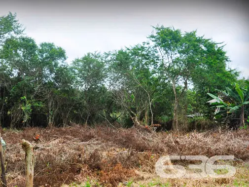 OPORTUNIDADE ÚNICA: TERRENO À VENDA NO BAIRRO PINH