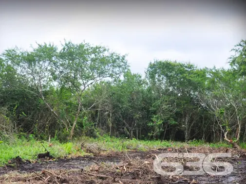 OPORTUNIDADE ÚNICA: TERRENO À VENDA NO BAIRRO PINH