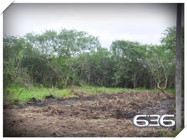 OPORTUNIDADE ÚNICA: TERRENO À VENDA NO BAIRRO PINH