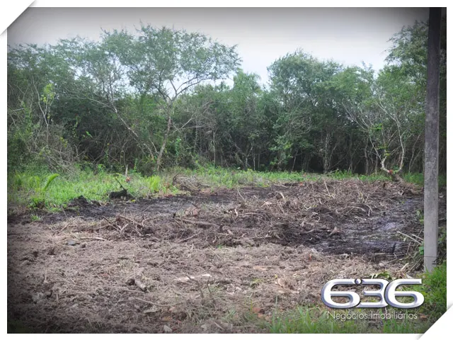 OPORTUNIDADE ÚNICA: TERRENO À VENDA NO BAIRRO PINH