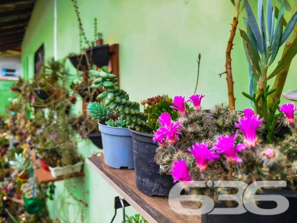 Residência Térrea em Balneário Barra do Sul – Cost