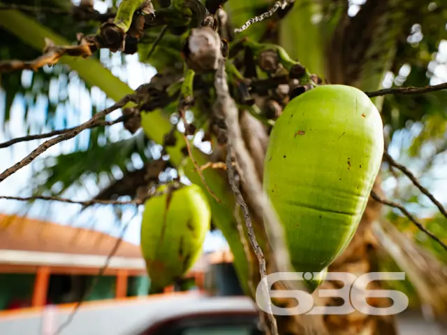 Descubra o potencial do seu próximo lar em Balneár