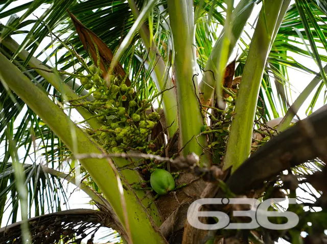 Descubra o potencial do seu próximo lar em Balneár