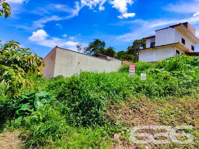 TERRENO À VENDA, situado no bairro Floresta, zona