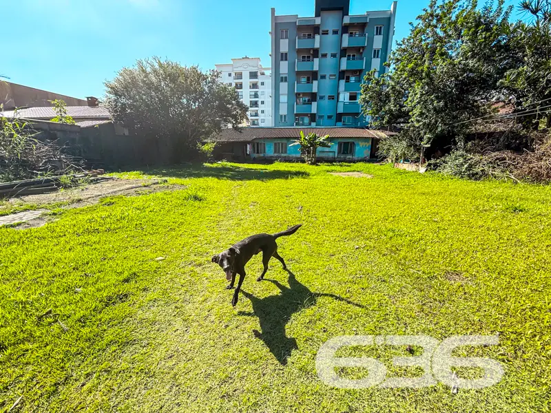 Oportunidade Única no Bairro Anita Garibaldi! Terr