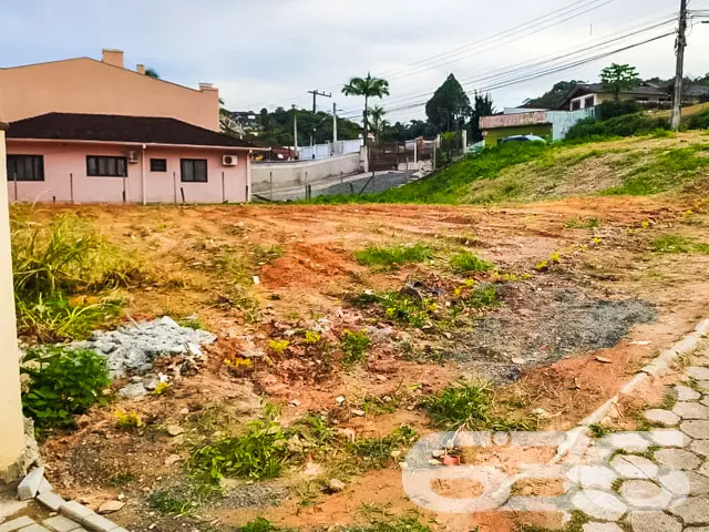 Descubra as Possibilidades Infinitas do Seu Novo T