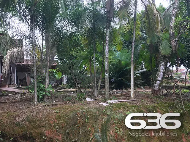 TERRENO ESPAÇOSO NO BAIRRO NOVA BRASÍLIA - O LOCAL