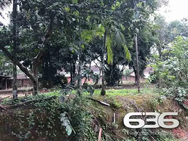 TERRENO ESPAÇOSO NO BAIRRO NOVA BRASÍLIA - O LOCAL