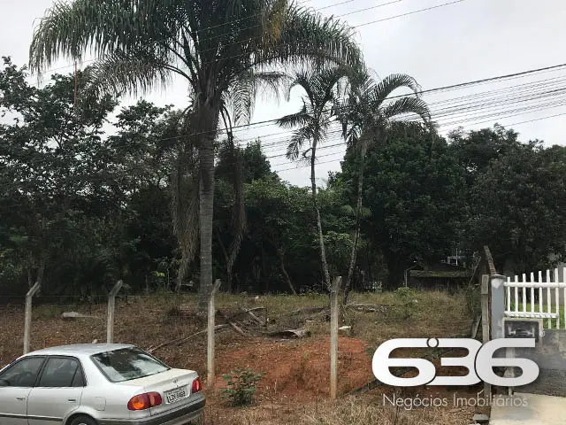 TERRENO ESPAÇOSO NO BAIRRO NOVA BRASÍLIA - O LOCAL