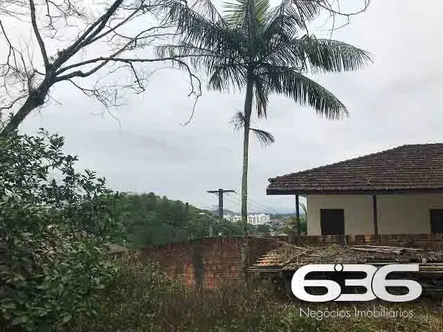 TERRENO ESPAÇOSO NO BAIRRO NOVA BRASÍLIA - O LOCAL