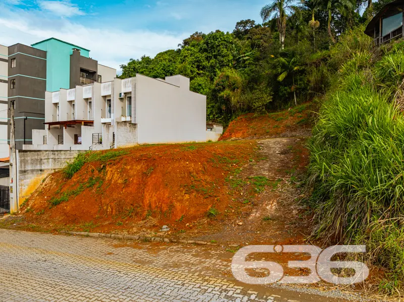 Está em busca de um terreno singular para investir