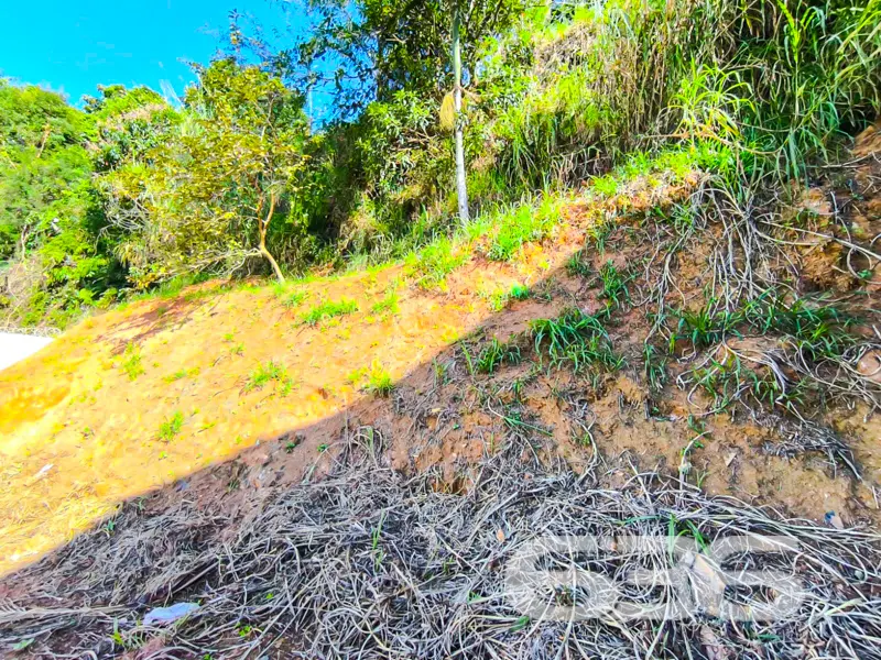 Está em busca de um terreno singular para investir