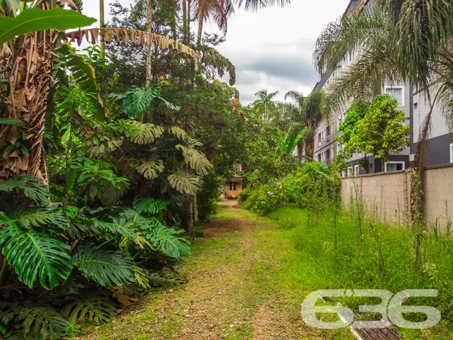 LOTE À VENDA NO BAIRRO SANTO ANTÔNIO - ÓTIMA OPORT