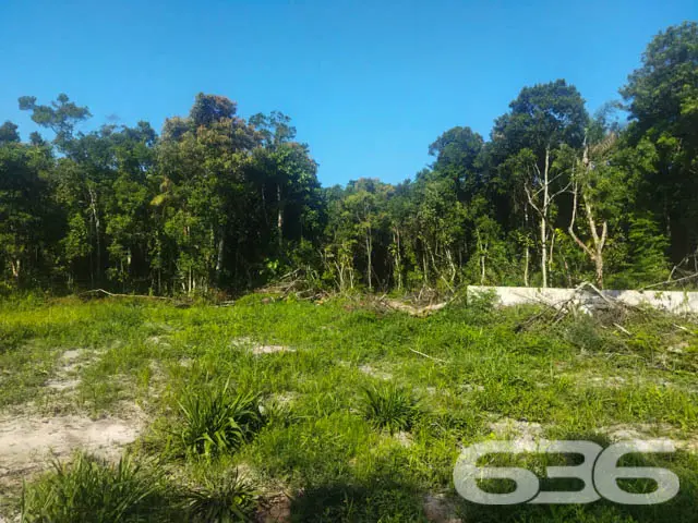 TERRENO À VENDA EM ARAQUARI, SANTA CATARINA
Est