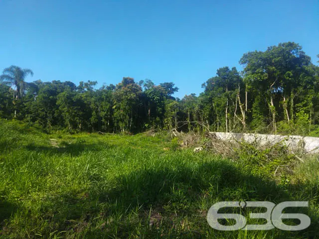 TERRENO À VENDA EM ARAQUARI, SANTA CATARINA
Est