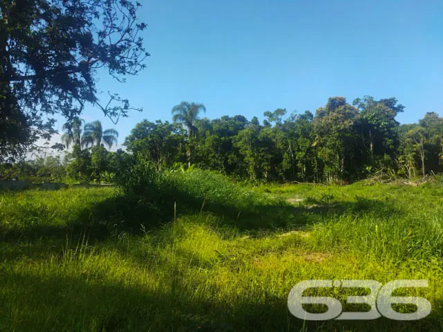 TERRENO À VENDA EM ARAQUARI, SANTA CATARINA
Est