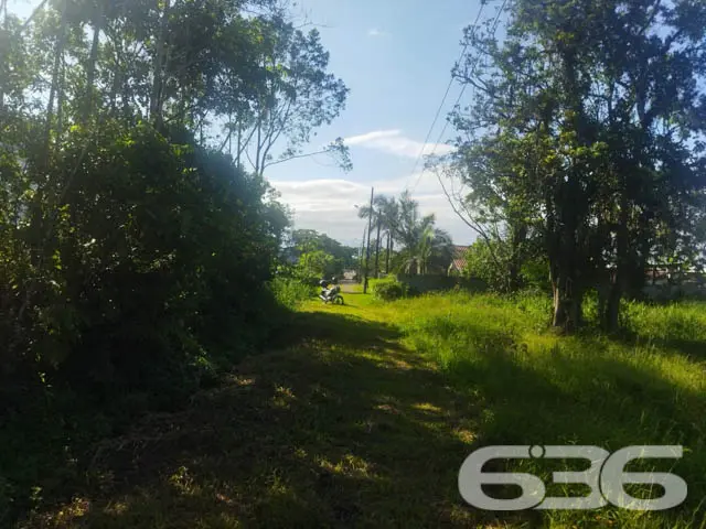 TERRENO À VENDA EM ARAQUARI, SANTA CATARINA
Est