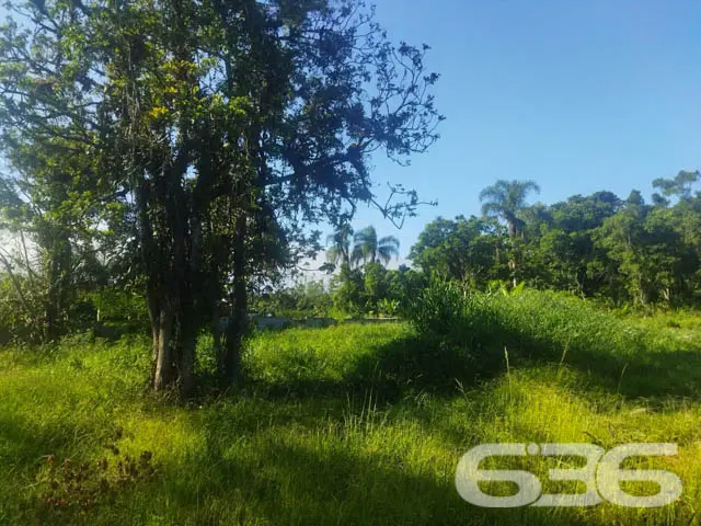 TERRENO À VENDA EM ARAQUARI, SANTA CATARINA
Est