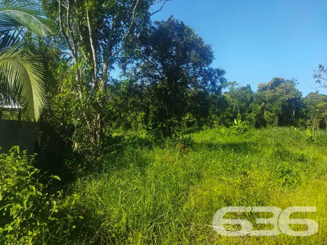 TERRENO À VENDA EM ARAQUARI, SANTA CATARINA
Est