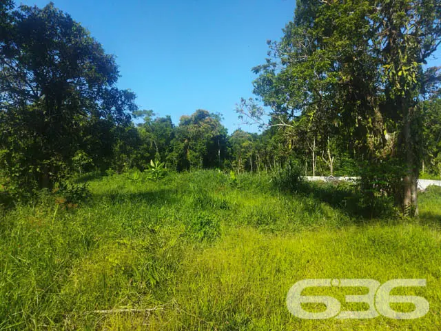 TERRENO À VENDA EM ARAQUARI, SANTA CATARINA
Est