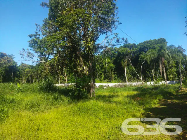 TERRENO À VENDA EM ARAQUARI, SANTA CATARINA
Est