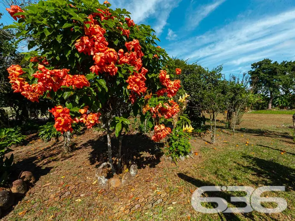 OPORTUNIDADE DE TERRENO INDUSTRIAL À VENDA EM ARAQ