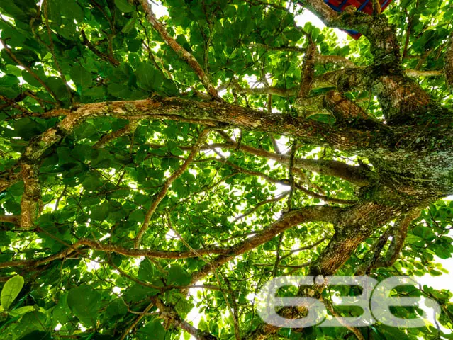 Descubra o prazer de viver bem em um espaço onde c